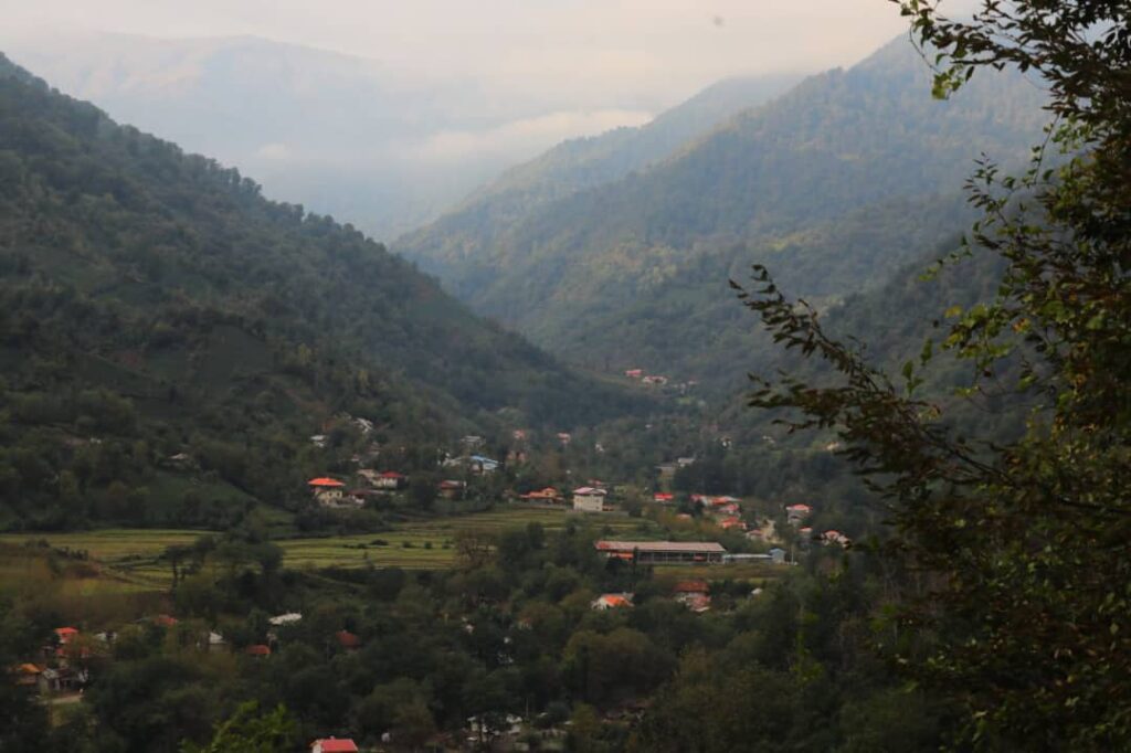 کلبه جنگلی فوشه