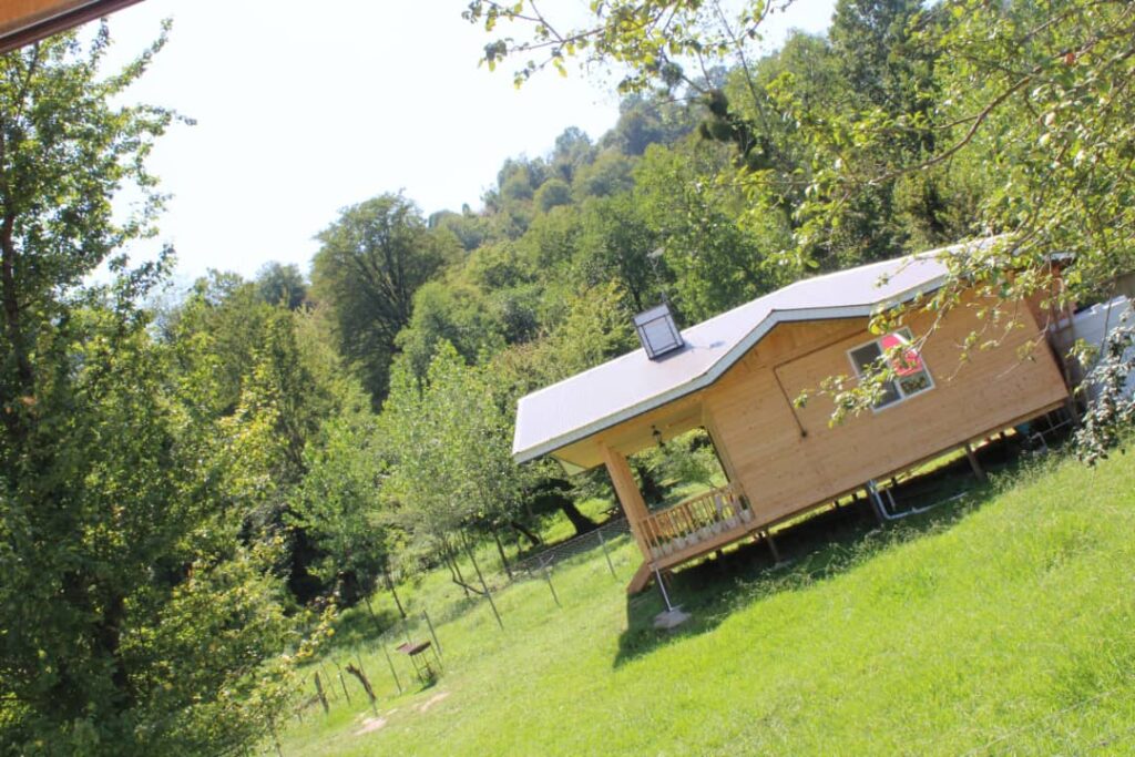 کلبه جنگلی ترنج