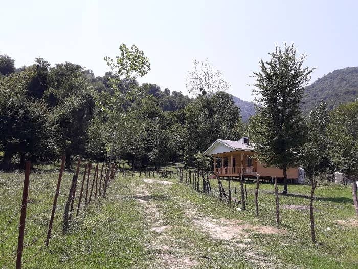 کلبه جنگلی ترنج