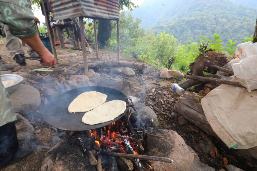 کلبه جنگلی فوشه