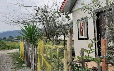 سوئیتی زیبا در دل شالیزار