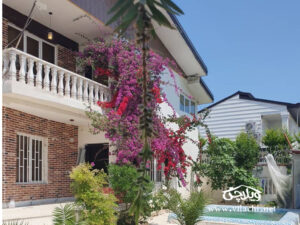 اجاره ویلای لاکچری در رامسر
