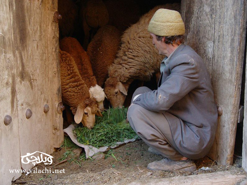 اجاره خانه روستایی در سبزوار