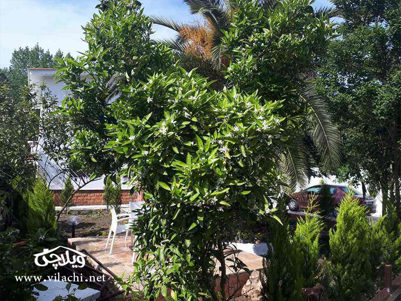 اجاره ویلا لوکس چهار خواب