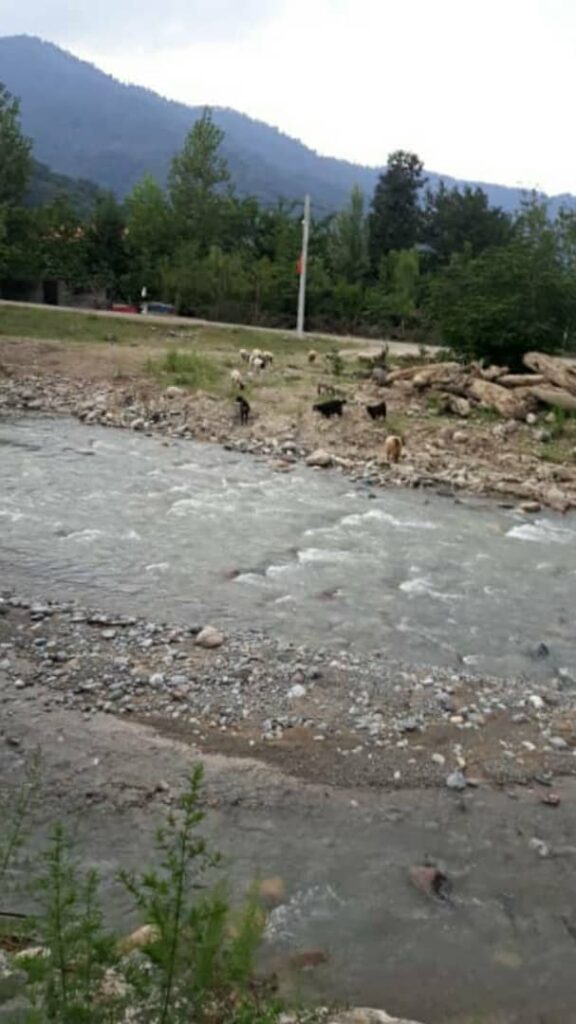 اجاره کلبه چوبی دو خواب در ماسال