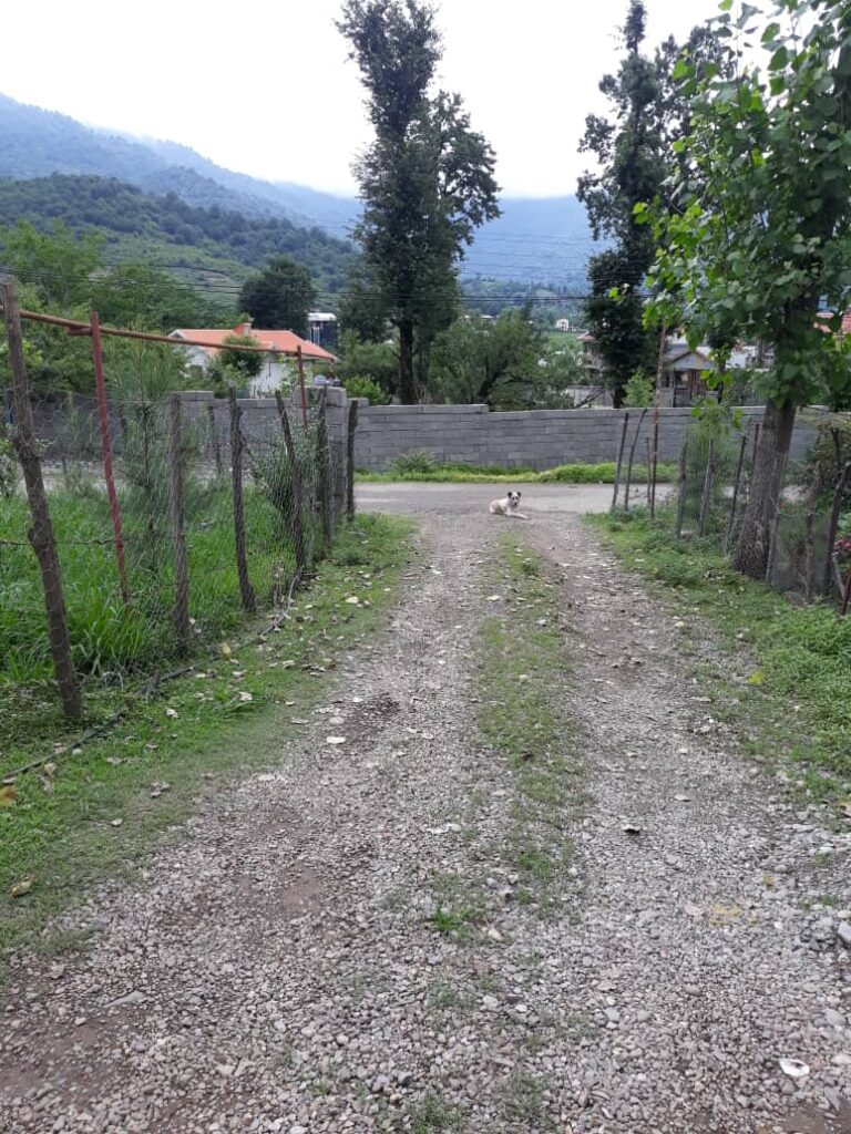 اجاره کلبه چوبی دو خواب در ماسال