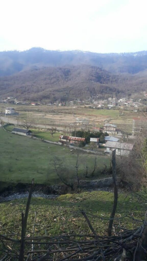 اجاره کلبه چوبی دو خواب در ماسال