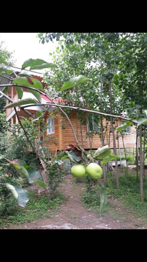 اجاره کلبه چوبی دو خواب در ماسال