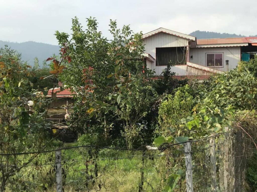 اجاره ویلا دوخوابه در ماسال