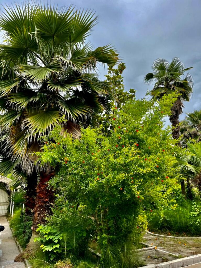 ۱۶۵dc6a2-cbfb-4d33-a702-e2b208845962