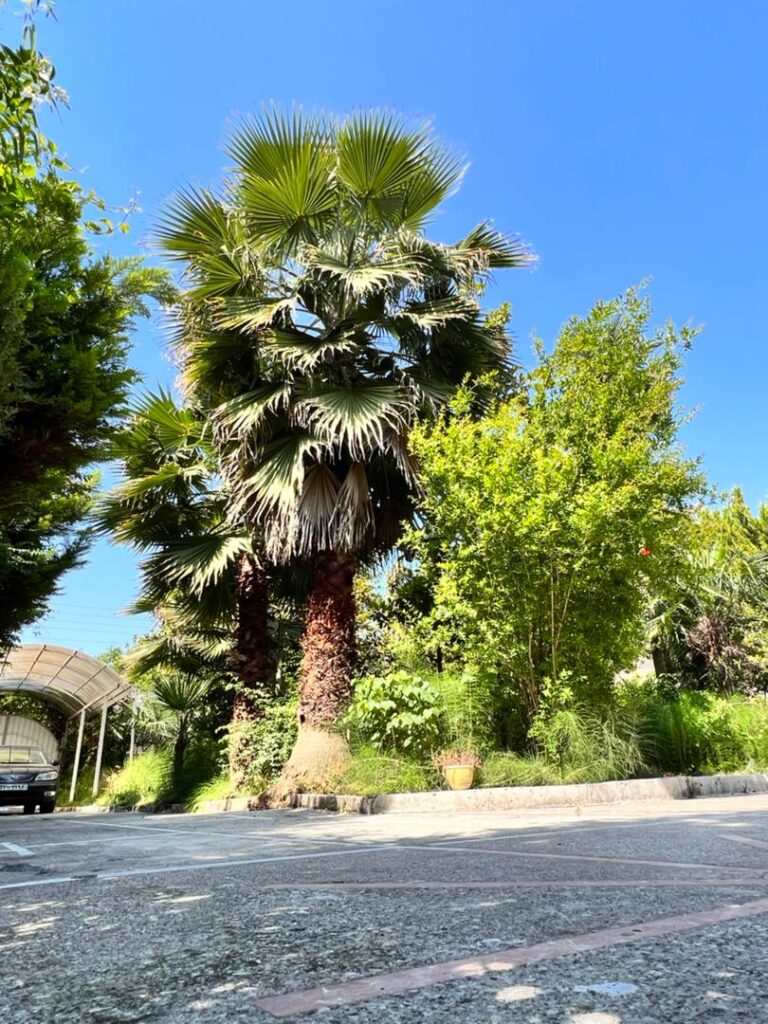 e47b2bd4-8547-4a49-a36b-7a223d4a043e